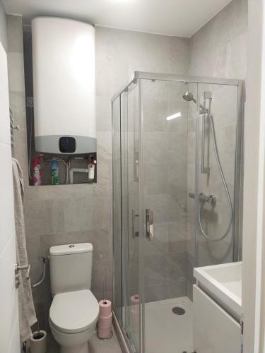 une salle de bain avec toilettes et douche en verre dans l'établissement 2 pièce avec terrasse ensoleillé, à Suresnes