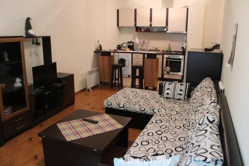Kuchyň nebo kuchyňský kout v ubytování Apartment Atanasov - Pamporovo