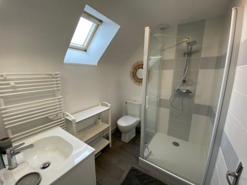 a bathroom with a shower and a sink and a toilet at RÉF 302 - LARMOR-PLAGE longère 3 pièces avec terrasse et jardin proche mer et commodités in Larmor-Plage