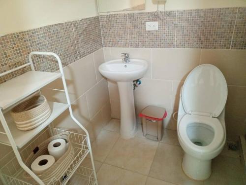 Baño pequeño con aseo y lavamanos en Lujoso apartamento completo, en Mendoza