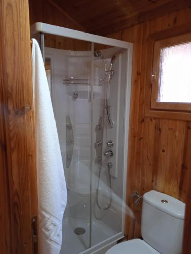 La salle de bains est pourvue d'une douche, de toilettes et d'une douche en verre. dans l'établissement Apartamentos LA CASONA, à Jaraiz de la Vera