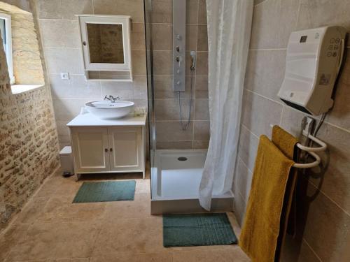 a bathroom with a sink and a shower at La Maison de Condé in Conde-sur-Ifs