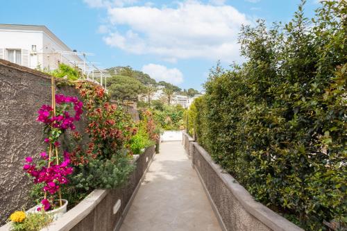 a garden path with flowers on a wall at Casa Levante Luxury Apartments Capri in Capri
