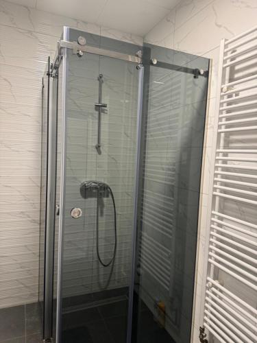 y baño con ducha y puerta de cristal. en Apartman City Center 2, en Prijedor
