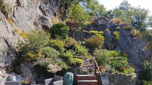 a garden with plants on a rocky mountain at Plas Tan y Graig B&B Guest House Beddgelert in Beddgelert