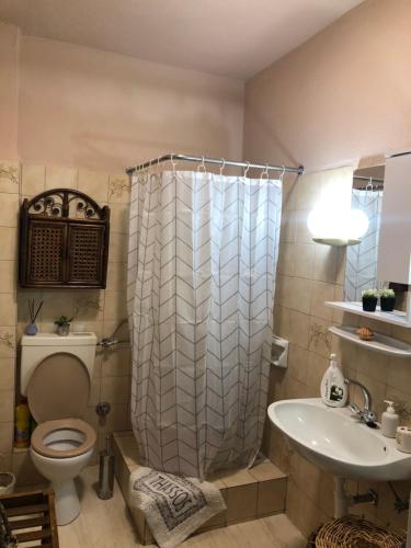 a bathroom with a shower and a toilet and a sink at Talos House in Rakhónion