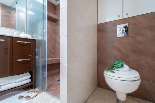 a bathroom with a toilet and a shower at King David Apartment - J&J in Jerusalem