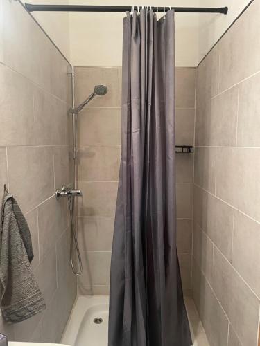a shower with a shower curtain in a bathroom at Charmantes Loft Apartment im Zentrum in Zittau