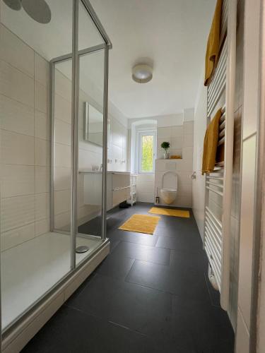 a bathroom with a glass shower and a toilet at Die alte Salzvilla in Bad Aussee