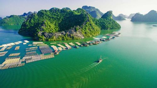 une île dans l'eau avec un bateau à l'intérieur dans l'établissement Tran Chau Garden Home, à Cat Ba