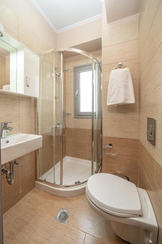 a bathroom with a shower and a toilet and a sink at Nicolis Seaside Apartment in Karavomylos