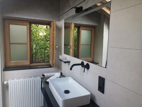 a bathroom with a sink and a mirror at Landhaus Am Arzbach in Bad Tölz