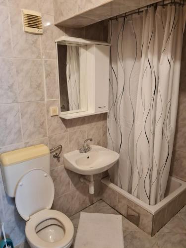 La salle de bains est pourvue de toilettes et d'un lavabo. dans l'établissement Holiday Home Jukić Pr, à Seline