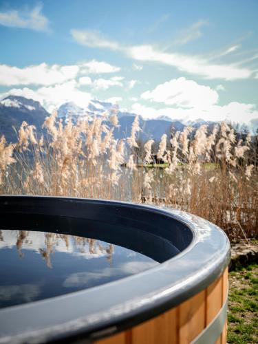 d'une baignoire avec vue sur la montagne. dans l'établissement Venez Chez Vous Villa Aux Premières Loges, à Sévrier