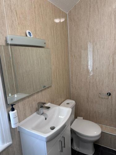 a bathroom with a white toilet and a sink at East Ayton Lodge Hotel, Scarborough in Scarborough