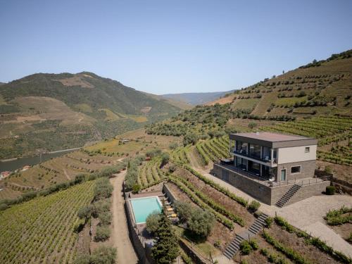 a house in a vineyard with a pool at Feel Discovery Alvim's Douro in Folgosa