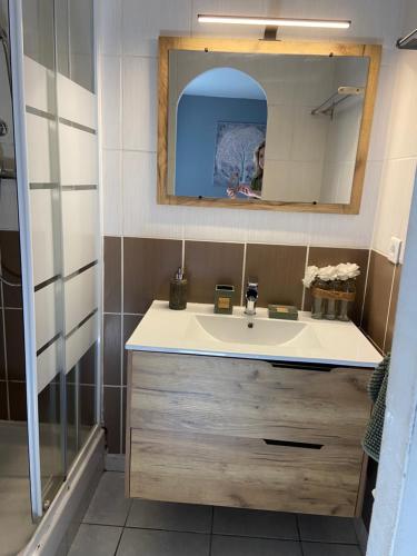 een badkamer met een wastafel en een spiegel bij Meuble maison vigneronne in Saint-André-de-Sangonis