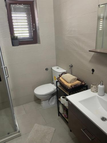 bagno con servizi igienici e lavandino di Apartment Damjan a Kotor (Cattaro)