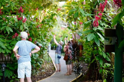 a group of people looking at plants in a garden at Pachira Lodge in Tortuguero