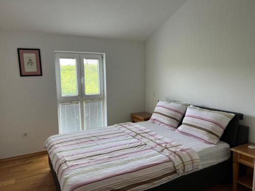 Apartman Jan