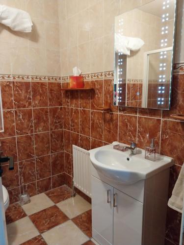 y baño con lavabo y espejo. en Pegs Cottage en Limerick