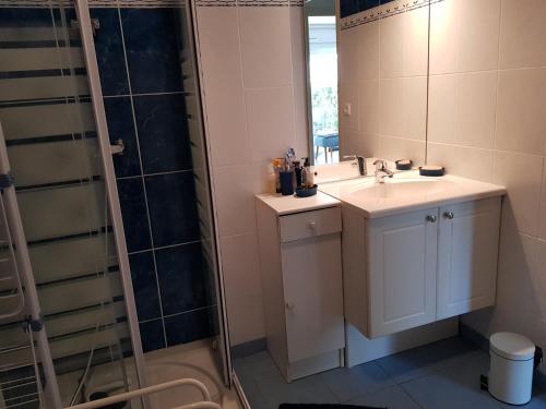 une salle de bain avec un lavabo et une douche avec un miroir dans l'établissement Le Bellem, à Courseulles-sur-Mer