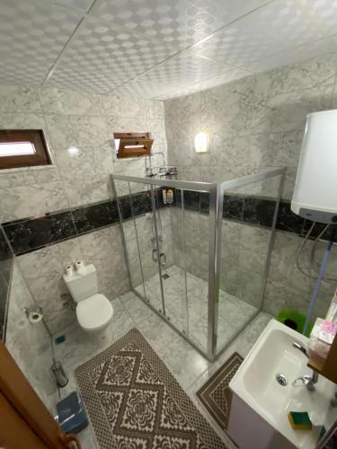 een badkamer met een douche, een toilet en een wastafel bij Gökçen Home in Pamukkale