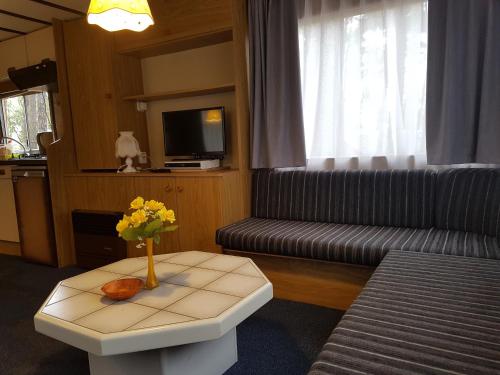 a living room with a couch and a table at POD SOSNAMI Ośrodek Wypoczynkowy Boszkowo Letnisko in Boszkowo