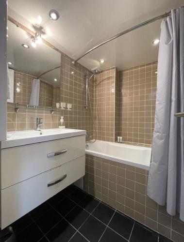 une salle de bain avec un lavabo, une baignoire et un miroir dans l'établissement VUE SUR LA SEINE, à Paris