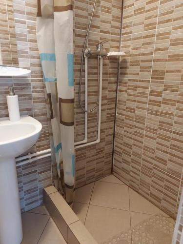 een badkamer met een douche en een wastafel bij CASA DALYS in Orşova