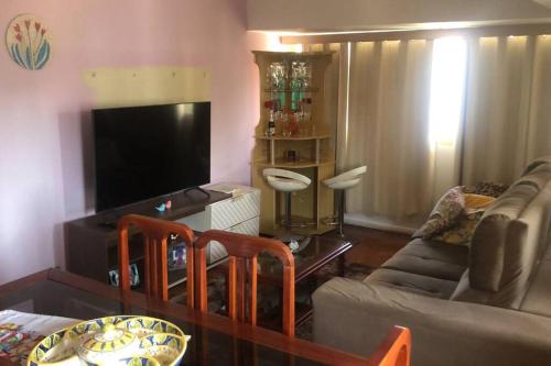 ein Wohnzimmer mit einem Sofa und einem Flachbild-TV in der Unterkunft Vista para o Parque Moscoso in Vitória