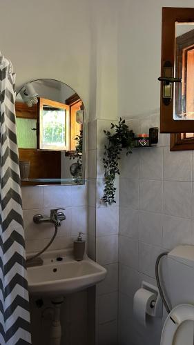 a bathroom with a sink and a toilet and a mirror at Eleni Antonouli Rooms in Kokkino Nero