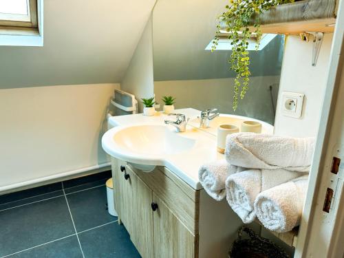 une salle de bain avec un lavabo et un miroir dans l'établissement Anh K - TiamConciergerie - DISNEY - Meaux Centre, à Meaux