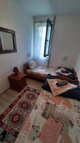 a room with two beds and a rug on the floor at Apartments Durmitor in Žabljak