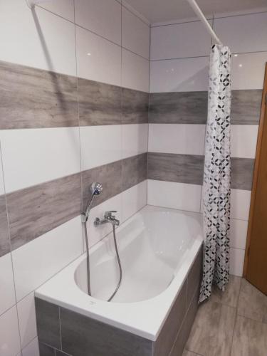 a bath tub with a shower in a bathroom at Ferienwohnung Marina in Linz am Rhein