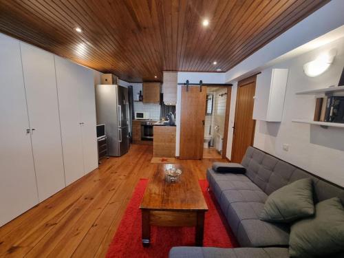 un salon avec un canapé et une table dans l'établissement Estudio en Osseja, à Osséja