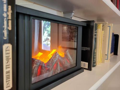 une télévision assise sur une étagère avec des livres dans l'établissement Estudio en Osseja, à Osséja