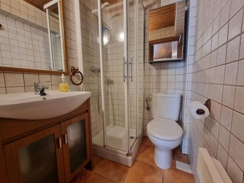 a bathroom with a shower and a toilet and a sink at Hermoso Estudio en Osseja in Osséja