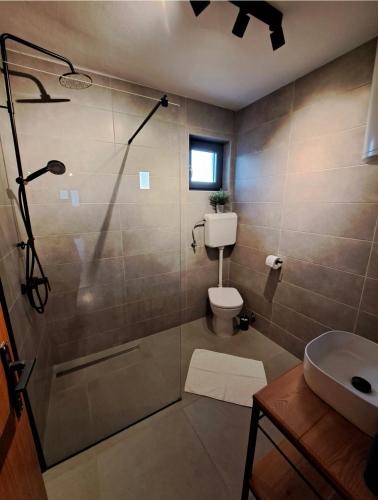a bathroom with a shower and a toilet and a sink at Guesthouse Tamara in Lovište