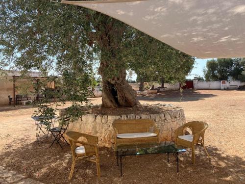 una mesa y dos sillas bajo un árbol en Masseria Purgatorio, en Fasano