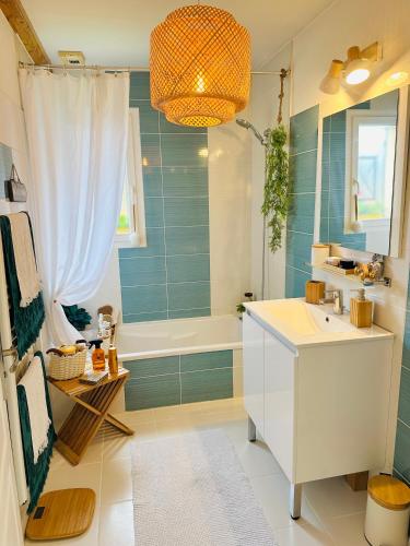 une salle de bain avec une baignoire, un lavabo et une douche dans l'établissement Maison au cœur des vignes, à Léognan