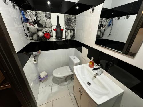 W łazience znajduje się umywalka, toaleta i lustro. w obiekcie Апартаменти Східна Перлина w mieście Winnica