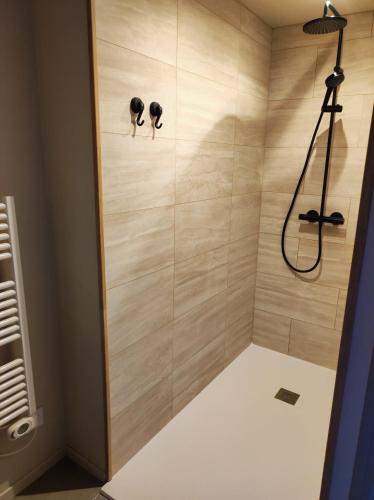 La salle de bains est pourvue d'une douche. dans l'établissement Gîte Ar Friz Vihan, à Briec