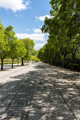 an empty road with trees on either side at Lisboa Central Park Hotel Suites & Studios in Lisbon