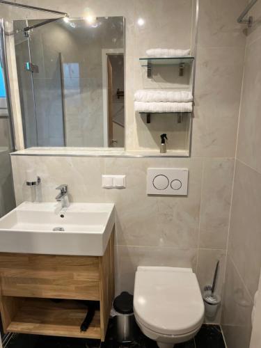 a bathroom with a sink and a toilet and a mirror at Appartement Am Burgstall in Steinberg an der Rabnitz