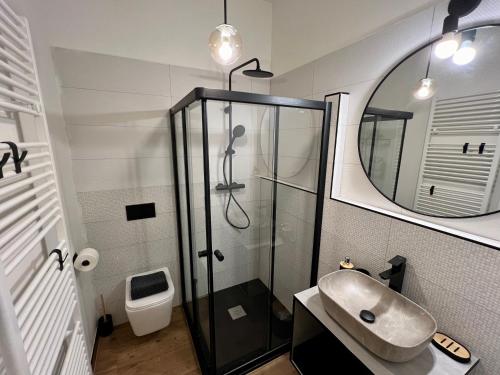 uma casa de banho com um lavatório e um chuveiro com um espelho. em Štýlový apartmán City em Banská Bystrica