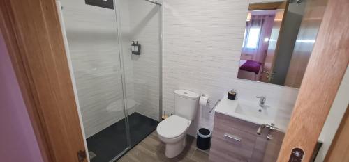 a bathroom with a toilet and a shower and a sink at El Mirador de Segovia in Basardilla