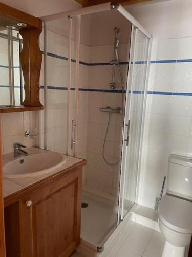 a bathroom with a shower and a sink and a toilet at Appartments in Tignes Ecrin des Neiges in Tignes