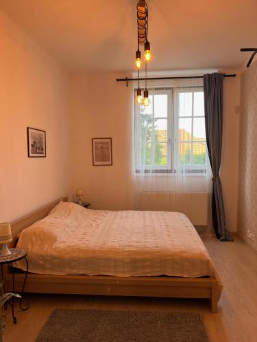 Un dormitorio con una cama grande y una ventana en Orechovka Apartment, en Praga