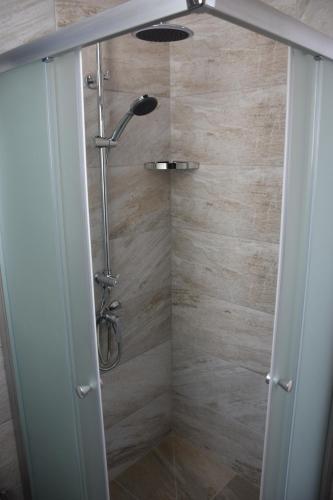 a shower with a shower head in a bathroom at AKAMAS THRONE APARTMENTS in Neo Chorio